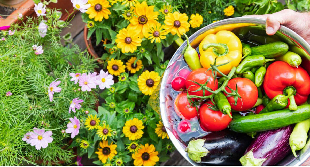 Terrain à PERPIGNAN