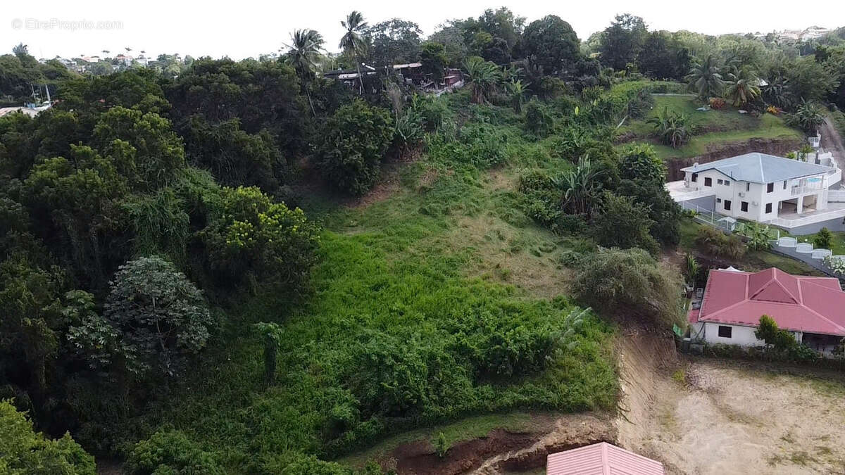 Grand terrain constructible a schoelcher - photo 3