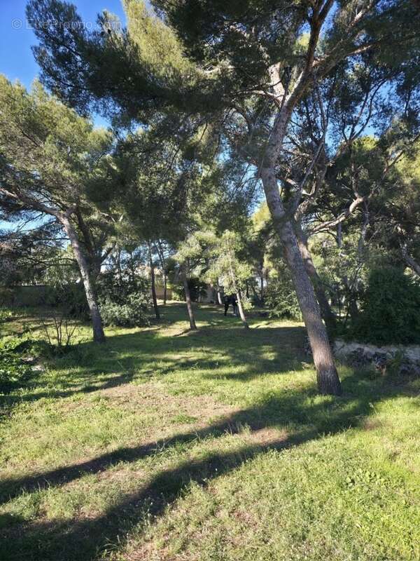 Terrain à SAUSSET-LES-PINS