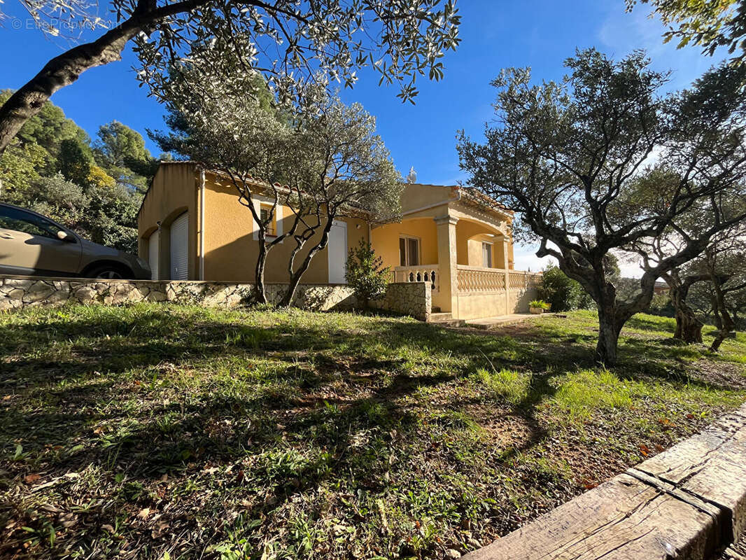 AUPS, superbe villa sur 2510 m 2 de terrain au calme. - photo 5