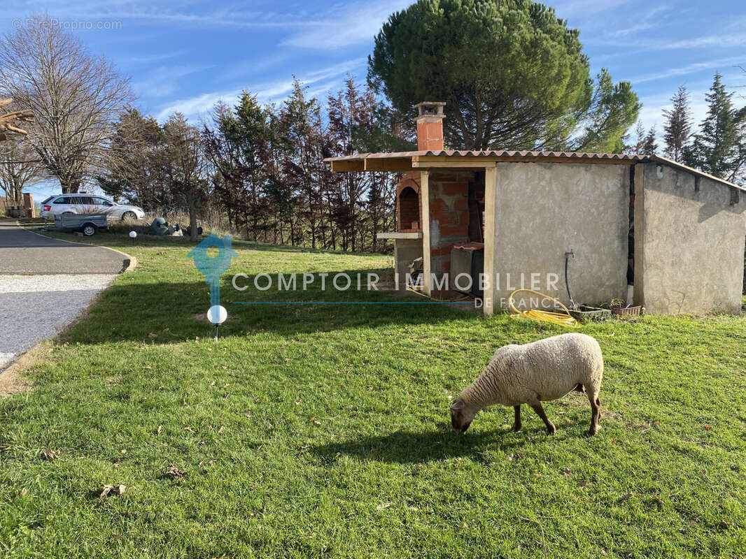Magnifique propriété à CARAMAN - photo 15
