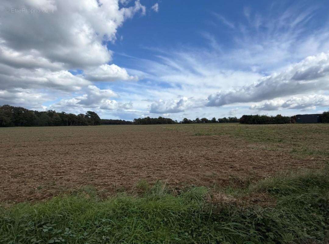 Terrain à MOLAC