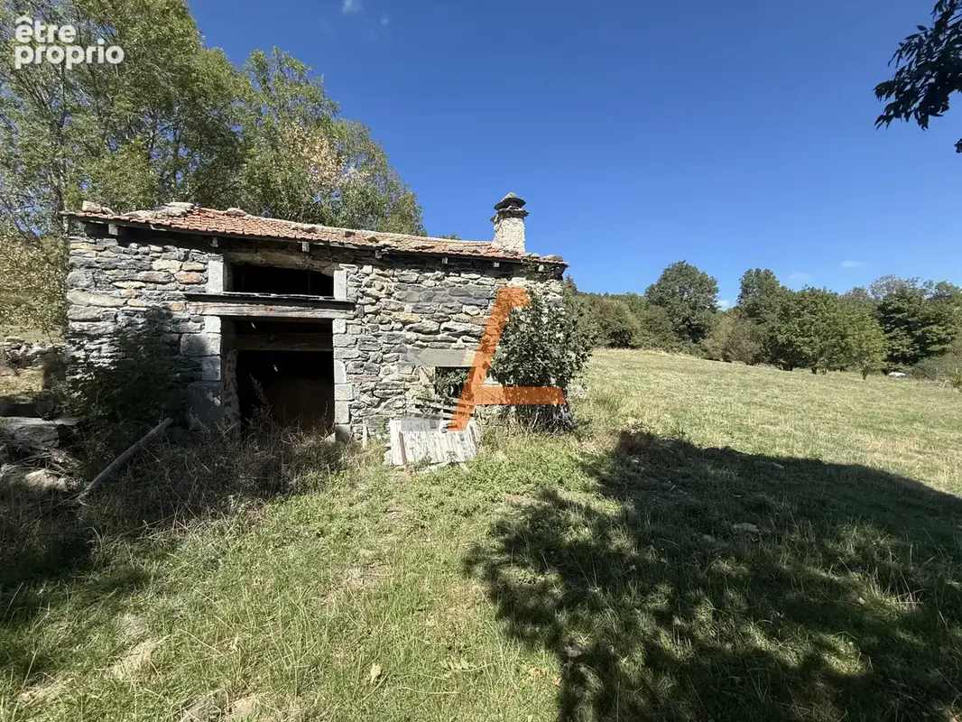 Bergerie à rénover avec 4 500 m2 de terrain   Montusclat - photo 3