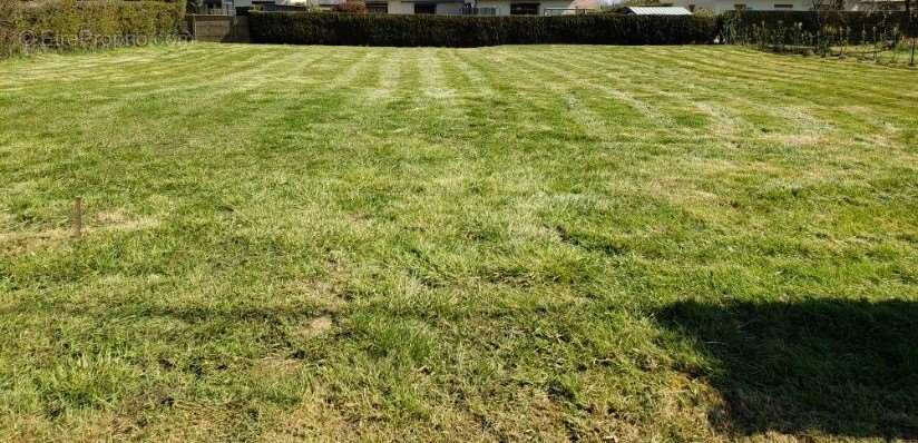 Terrain à bâtir La Ferté en Ouche 1052 m2 plat & clos - photo 3