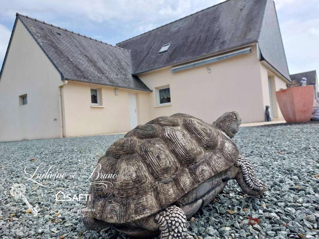 Photo 8 - Maison à GUINGAMP