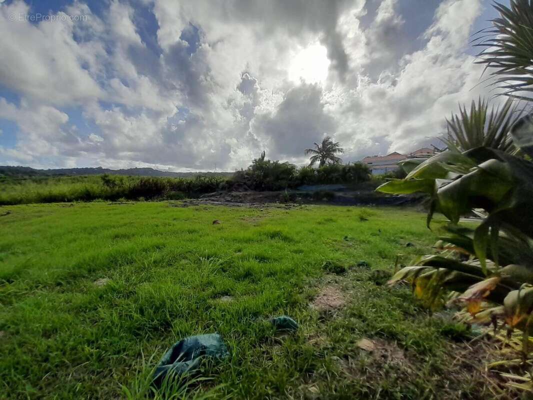 Photo 2 - Terrain à LE VAUCLIN