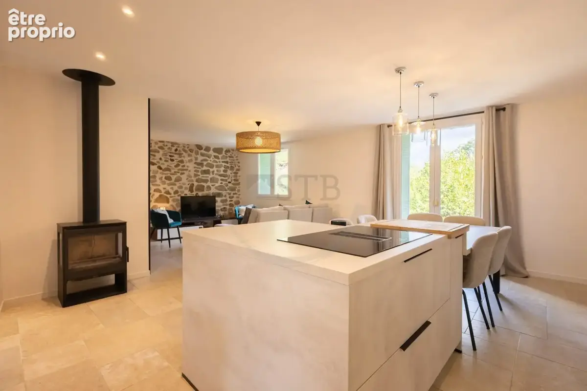 Maison 11 pièces 195 m² à vendre à Privas (07000) - photo 3