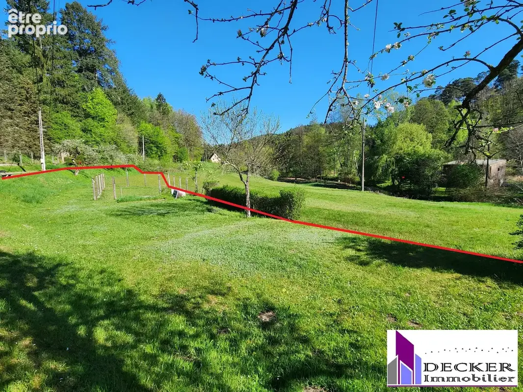 Maison 10 pièces 239 m² à vendre à Baerenthal (57230) - photo 5
