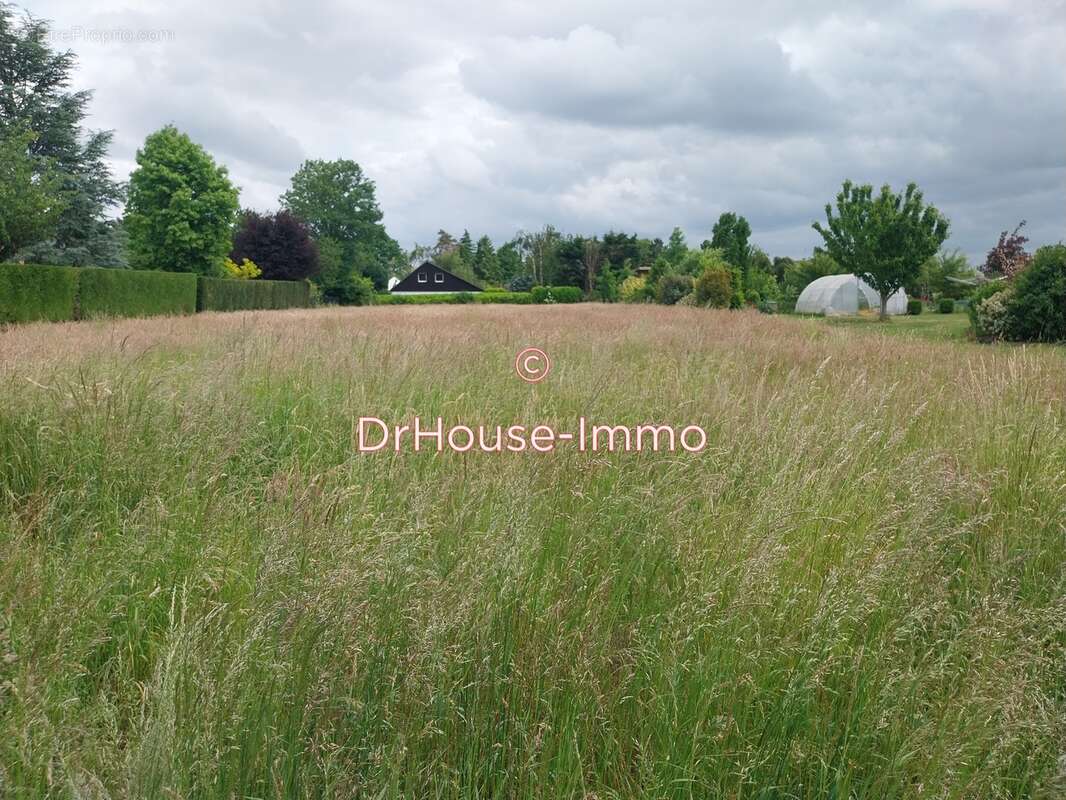 Terrain à SAINGHIN-EN-MELANTOIS