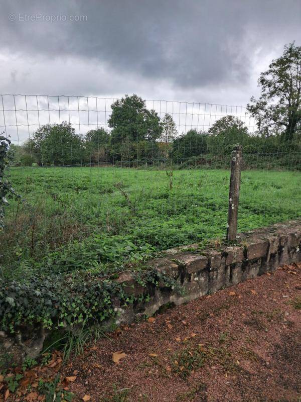 Terrain à DROITURIER