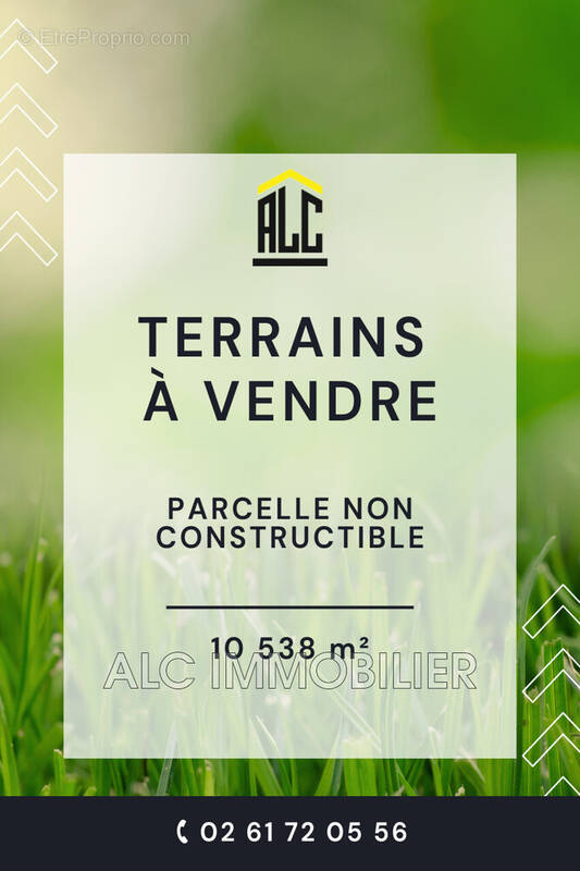 Terrain à DAMIGNY
