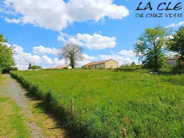 Terrain à LE BUSSEAU