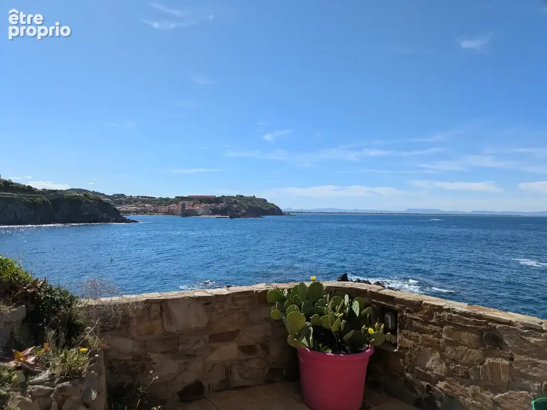 Collioure : premiere ligne mer, vue exceptionnelle - photo 7