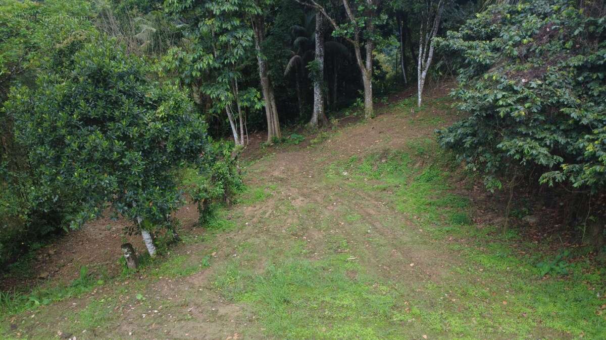 Terrain à FORT-DE-FRANCE