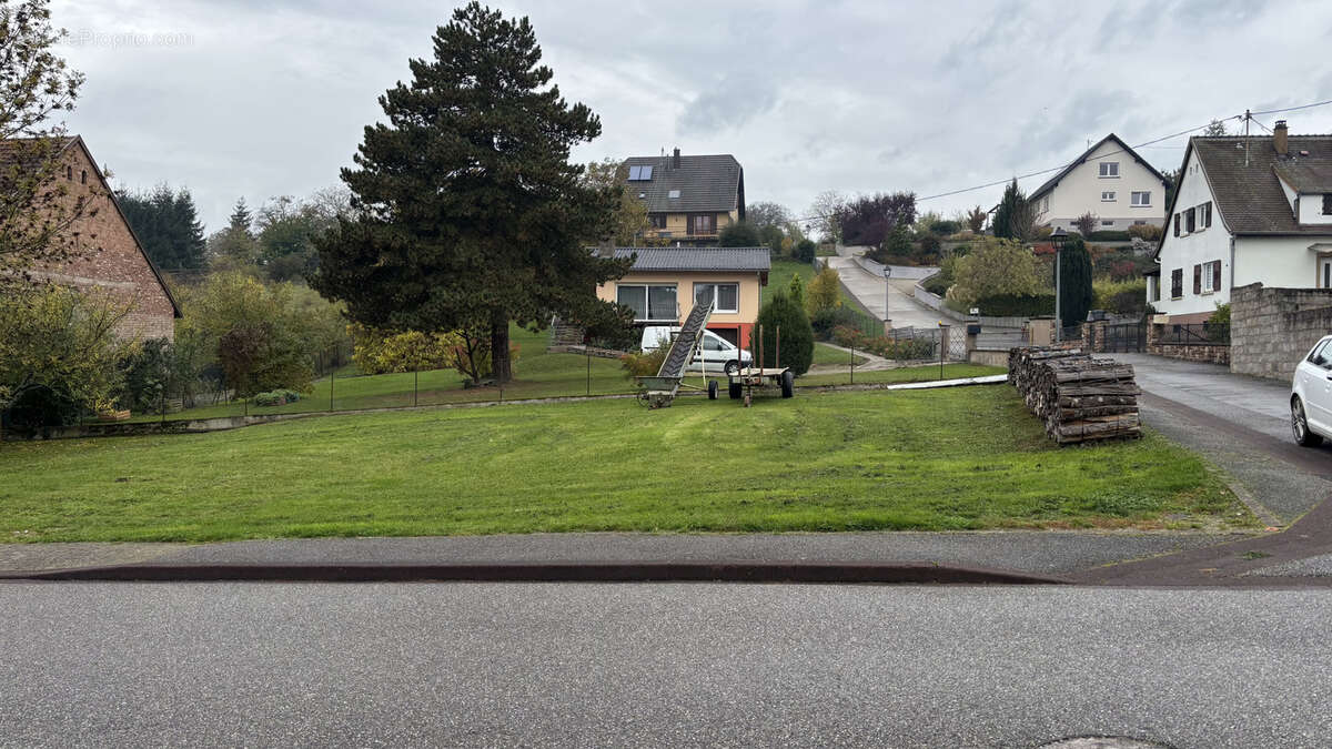 Terrain à SALENTHAL