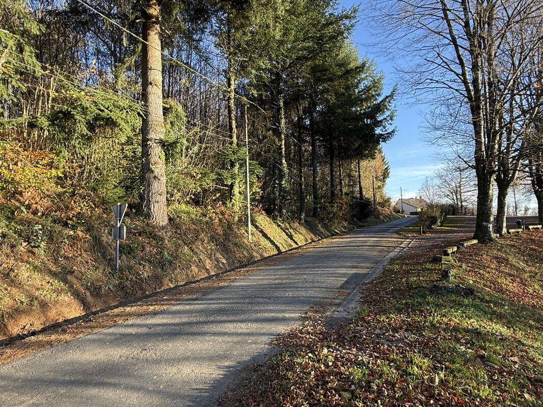 Terrain à SAINT-SORNIN-LAVOLPS