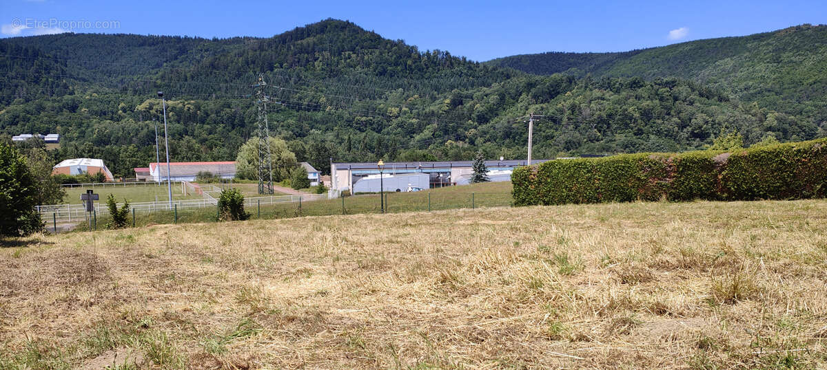 Terrain à BAREMBACH