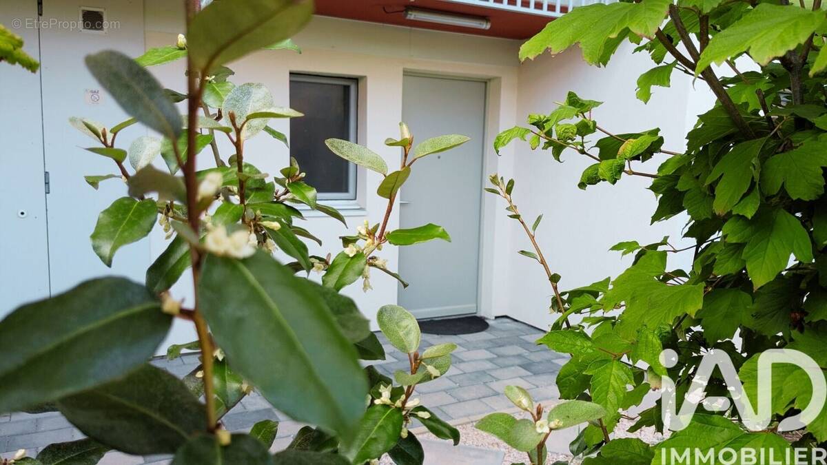 Photo 1 - Appartement à DIJON