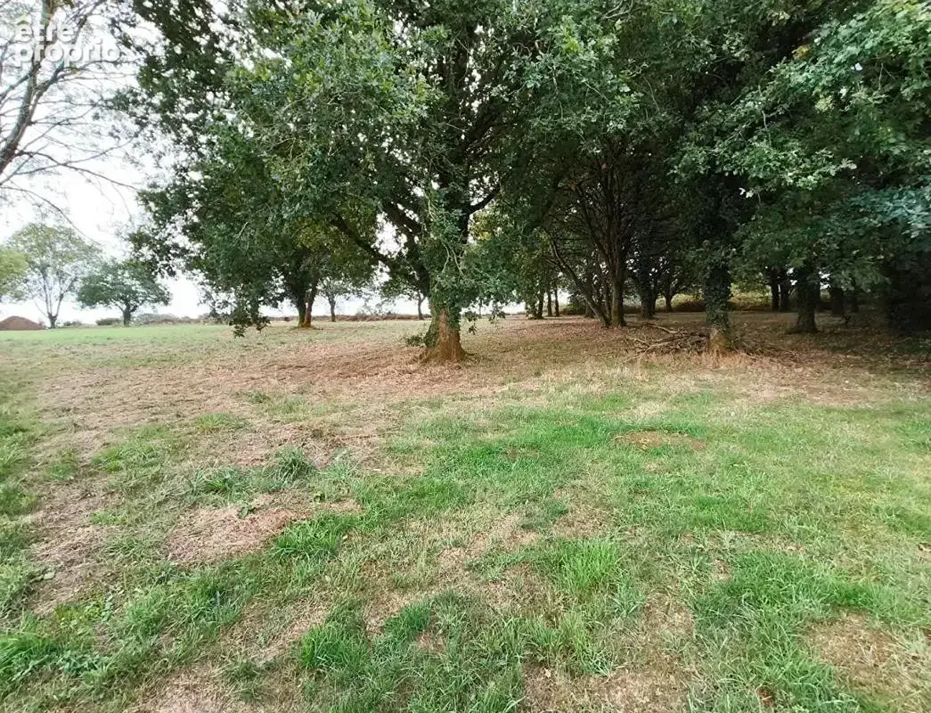 29270 Carhaix terrain constructible à 5 mn du centre ville, au calme - photo 3