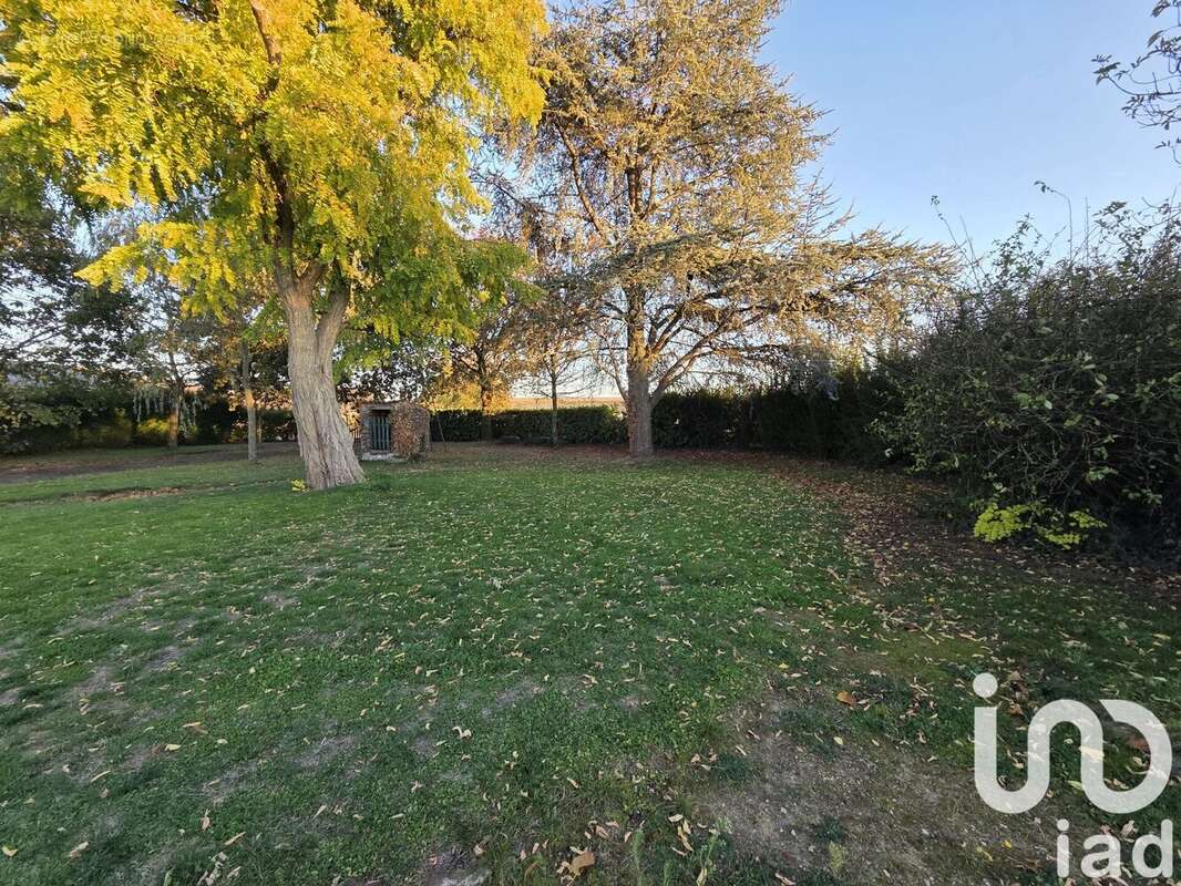 Photo 2 - Maison à TOUTLEMONDE