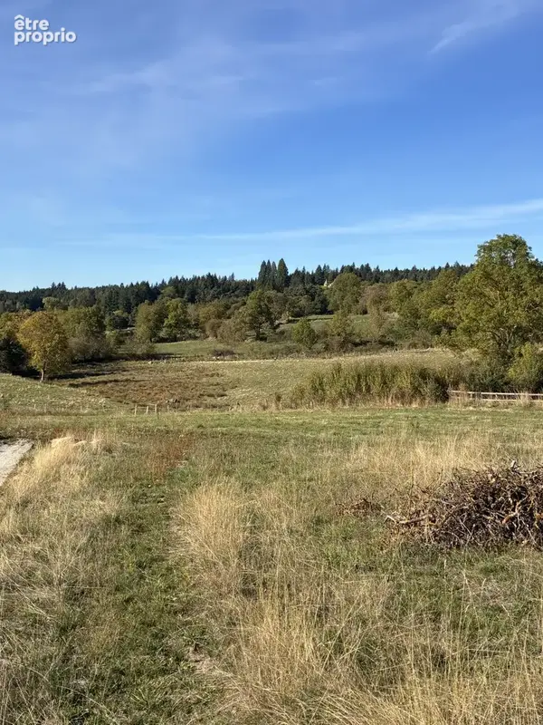 Terrain constructible viabilisé et loti - proche yssingeaux - photo 5