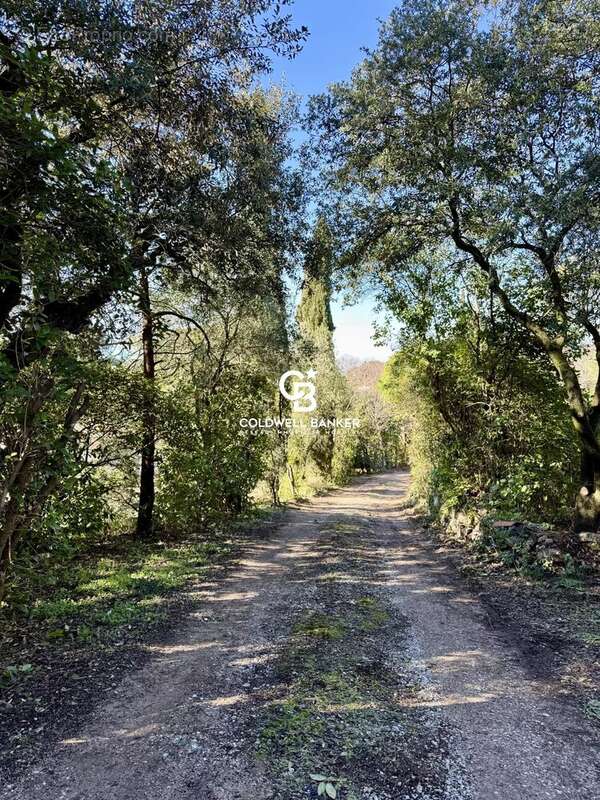 Terrain à MONTPELLIER