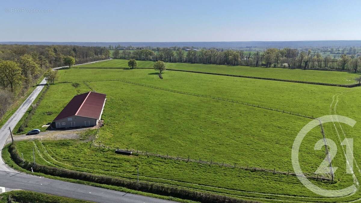 Terrain à BRESSOLLES