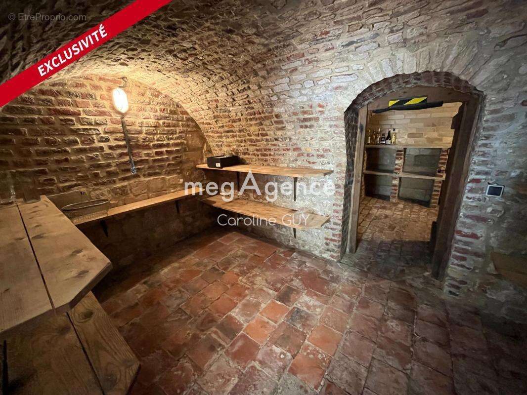Maison de maître, 267 m2, 5 chambres, jardin et garages - photo 7