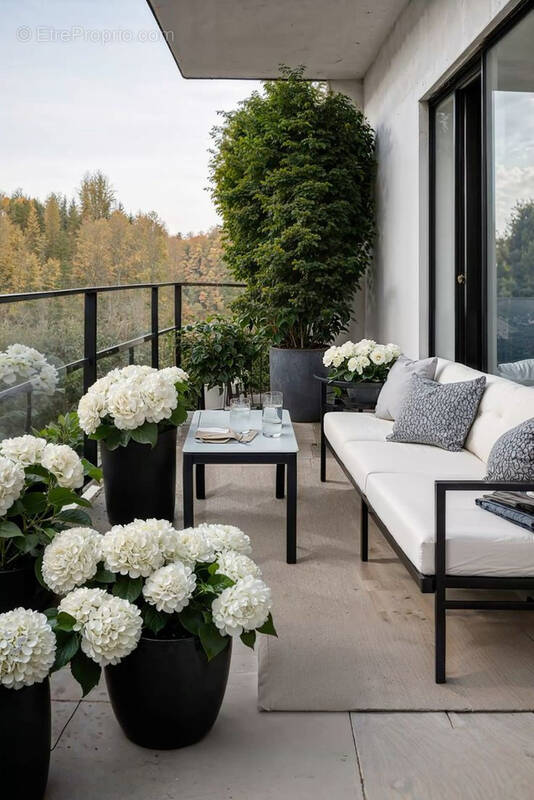 Appartement à NEUVILLE-SUR-SAONE