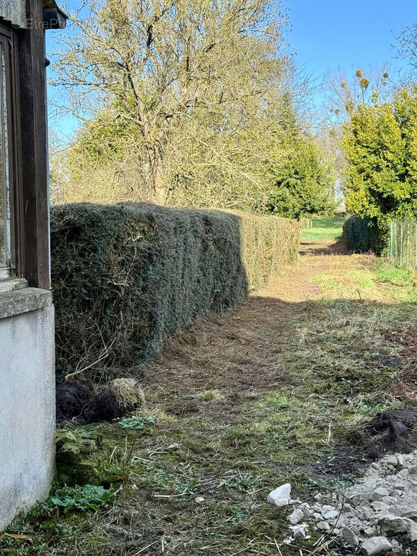 Maison à FRIVILLE-ESCARBOTIN