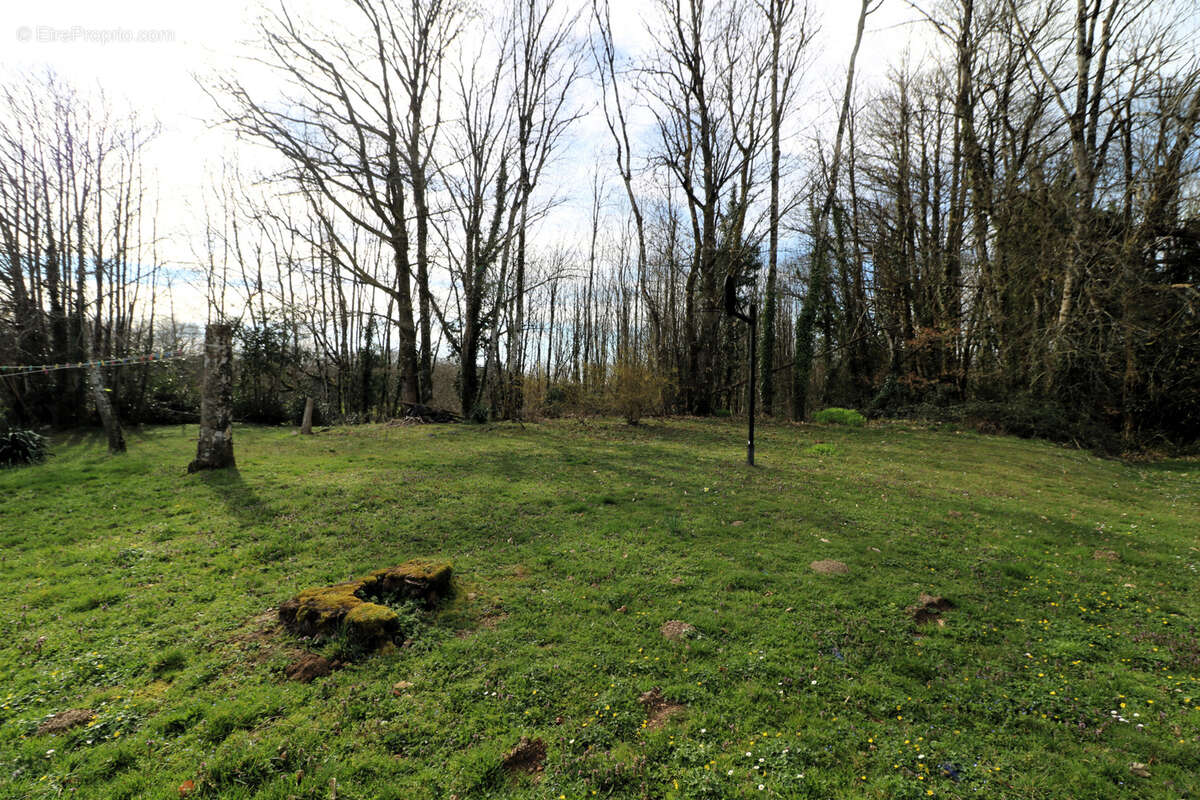 Joli ensemble immobilier à la campagne, 4 ou 5 logis, idéal résidence secondaire d'amis ! - photo 7