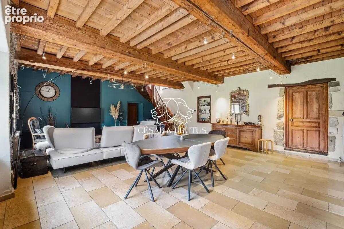 Maison 7 pièces 265 m² à vendre à Eyzin-Pinet (38780) - photo 5
