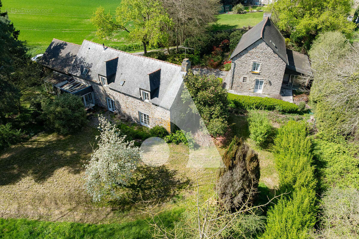 Maison à COLLINEE