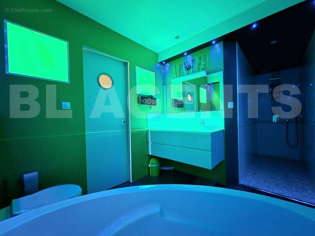 SDB SANS LUMIERE - Maison à PAMIERS