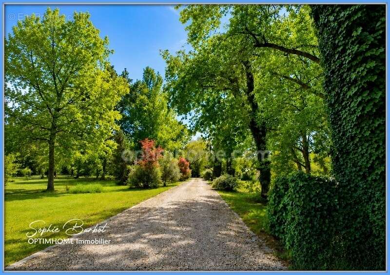 Exceptionnel à léognan, limite gradignan – propriété de caractère sur plus de 1,3 hectare de nature - photo 6