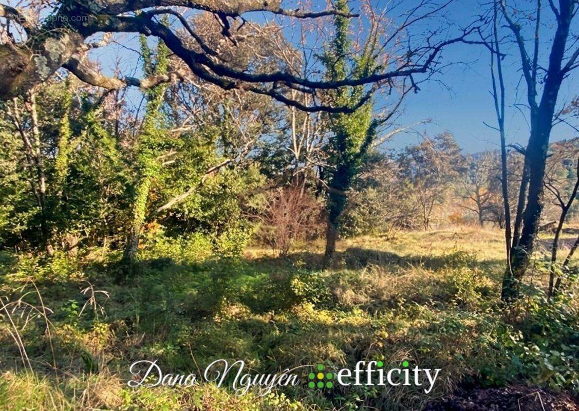 Terrain à MOLIERES-SUR-CEZE