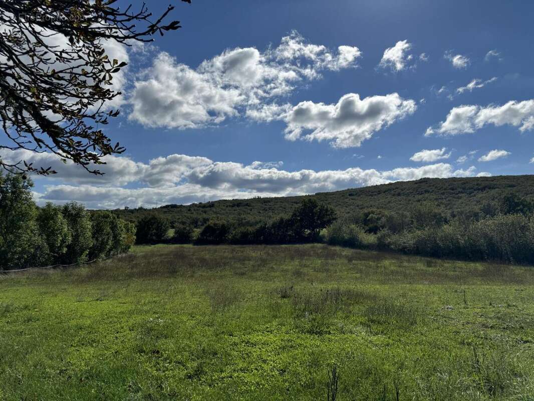 IMG_6415 - Maison à LIVERNON