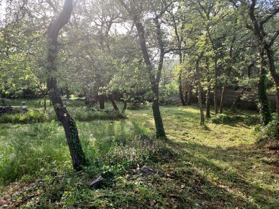 Terrain 1200 m² à Forcalqueiret  - photo 2