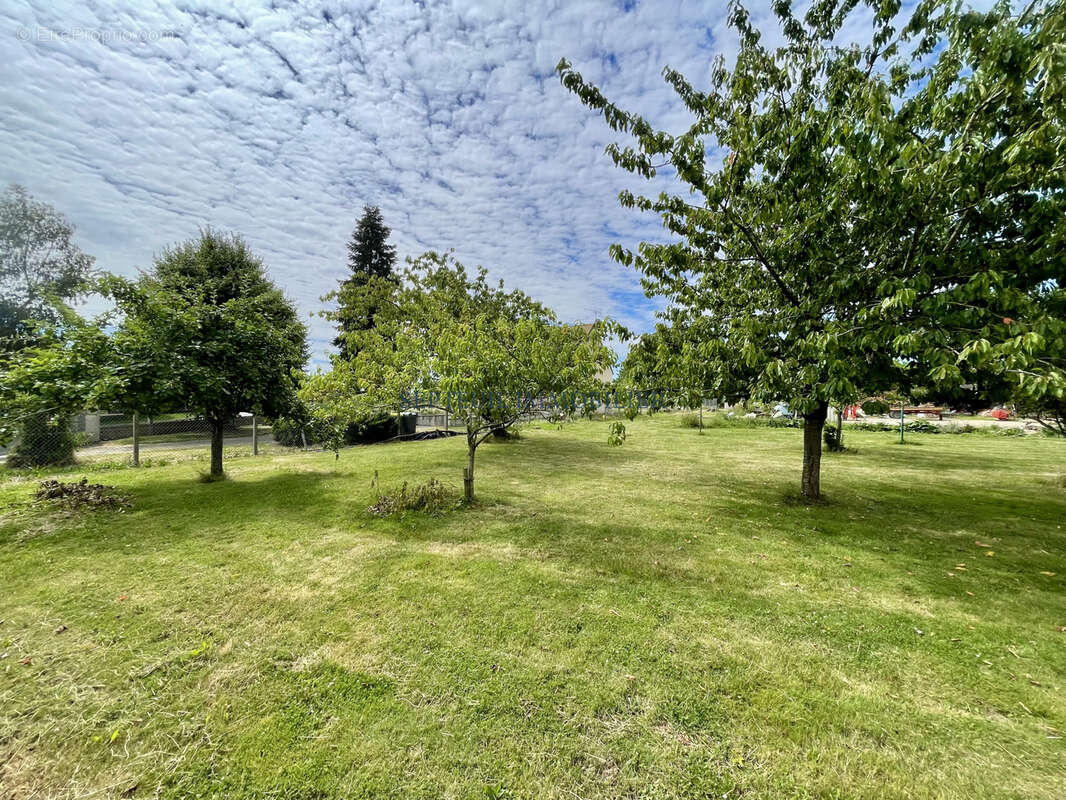 Terrain à SEPTEUIL