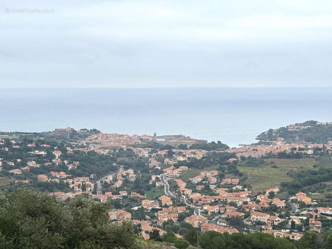 Terrain à COLLIOURE