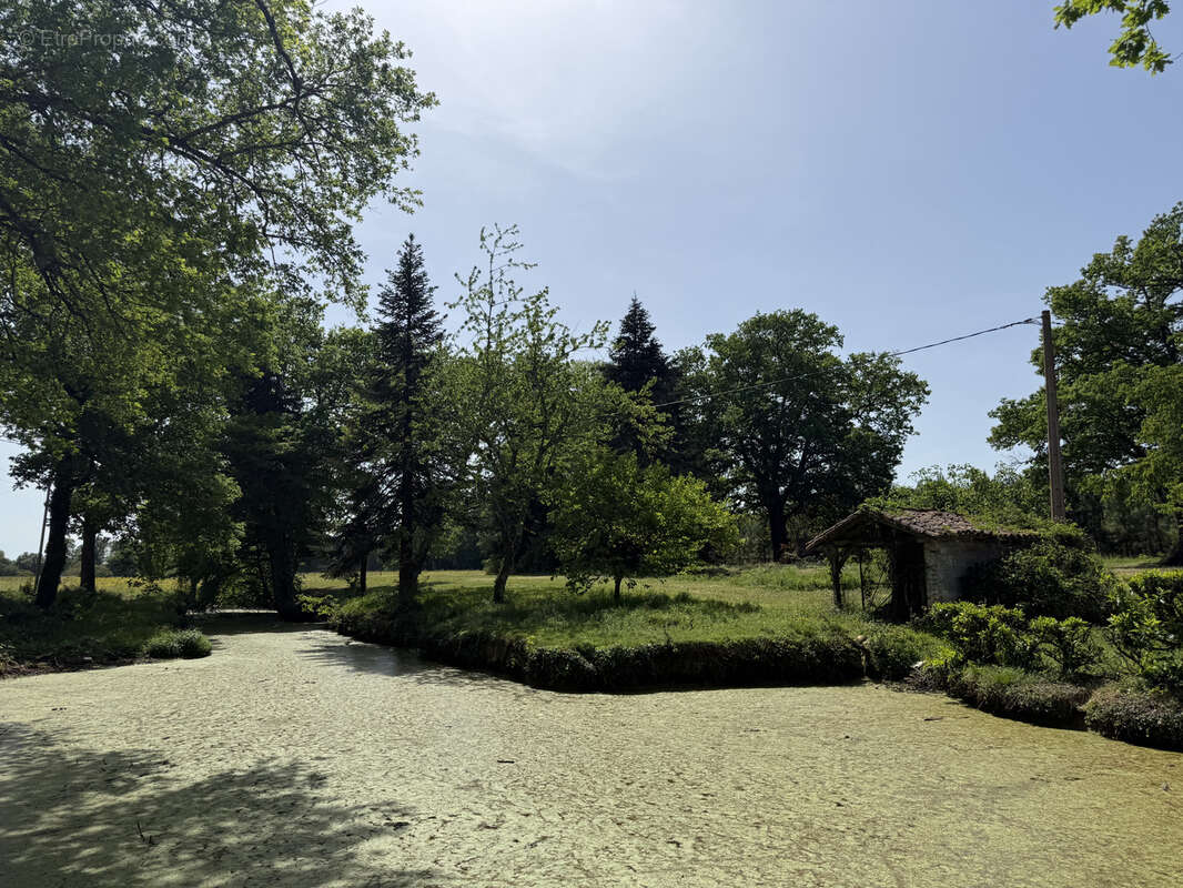 Maison à CASTELNAU-D'AUZAN