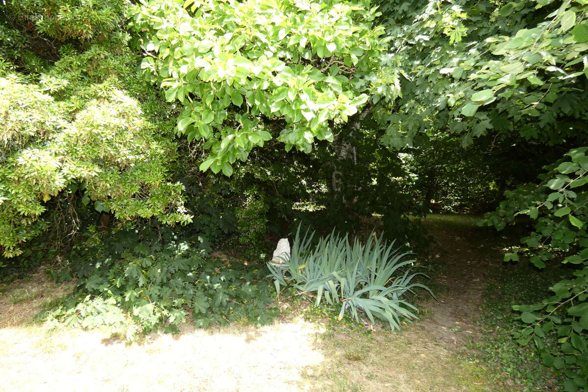 Maison à GUERET