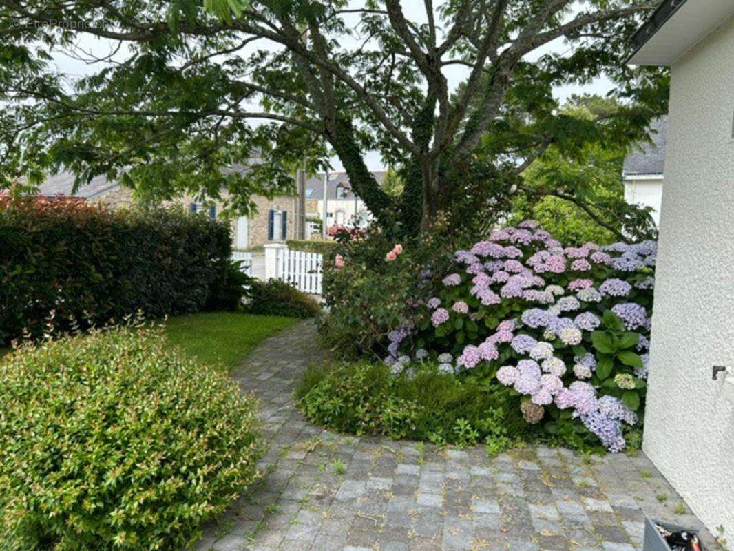 Elegante maison renovee vie de plain-pied  126 m²  4 chambres  terrain clos de 600 m²   brech (56) - photo 4