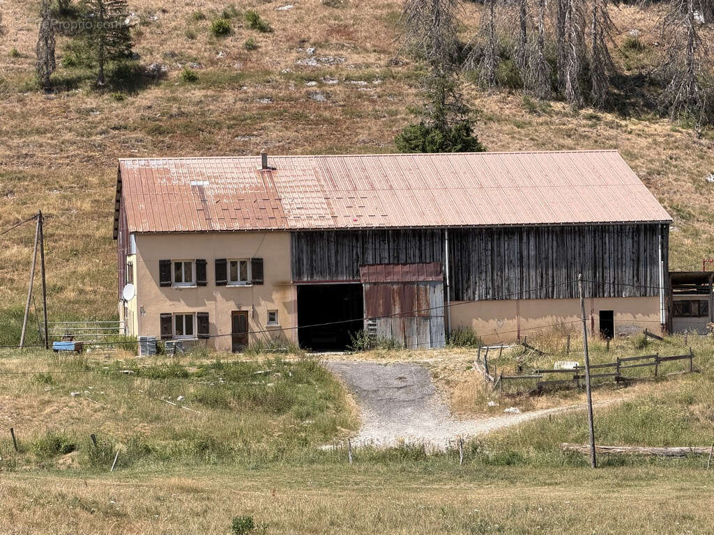 Haut-Jura, La Pesse,  Propriété agricole avec habitation à rénover, sur 7 hectares   Vue dégagée - photo 5