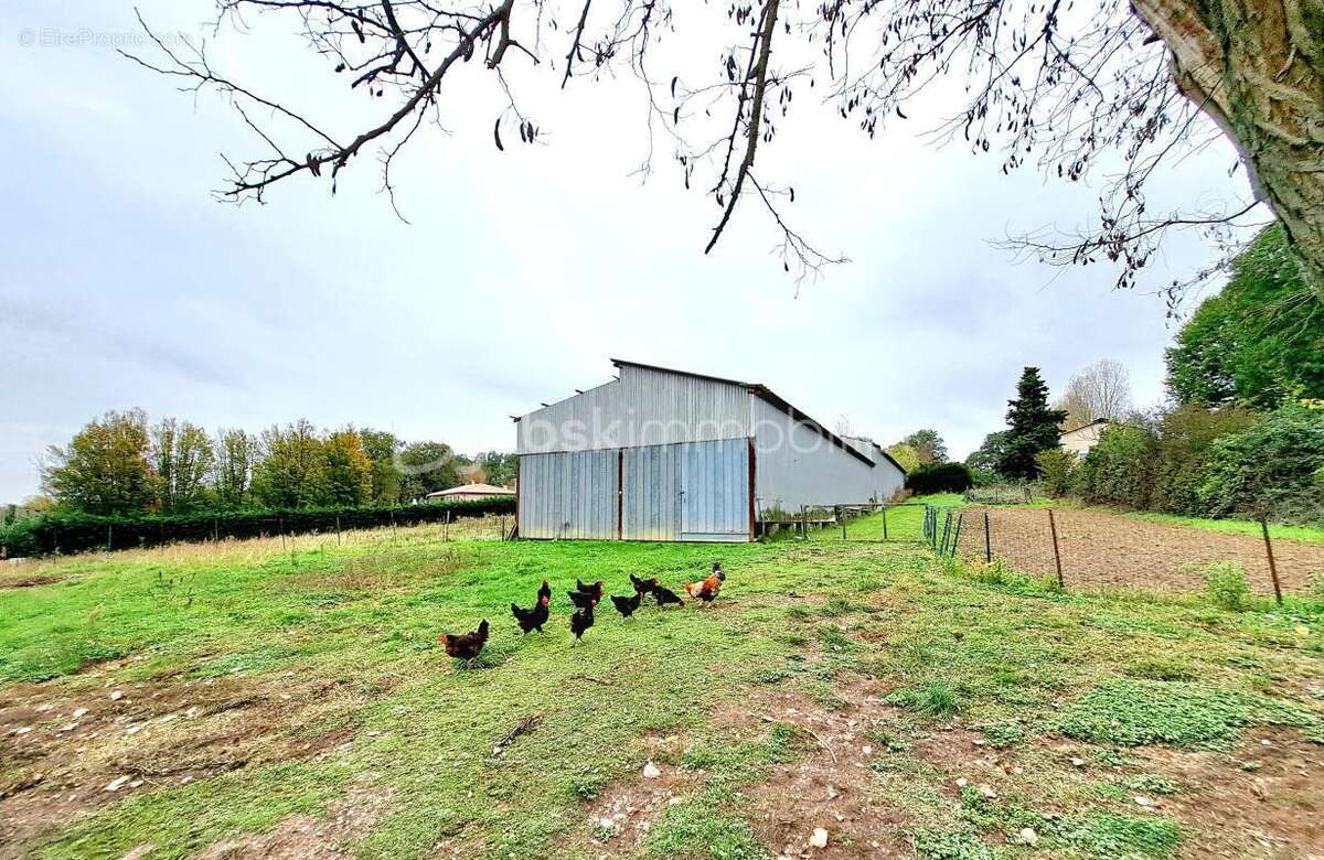Belle propriété - photo 14