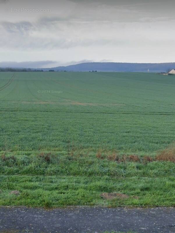 Terrain à LES PETITES-LOGES