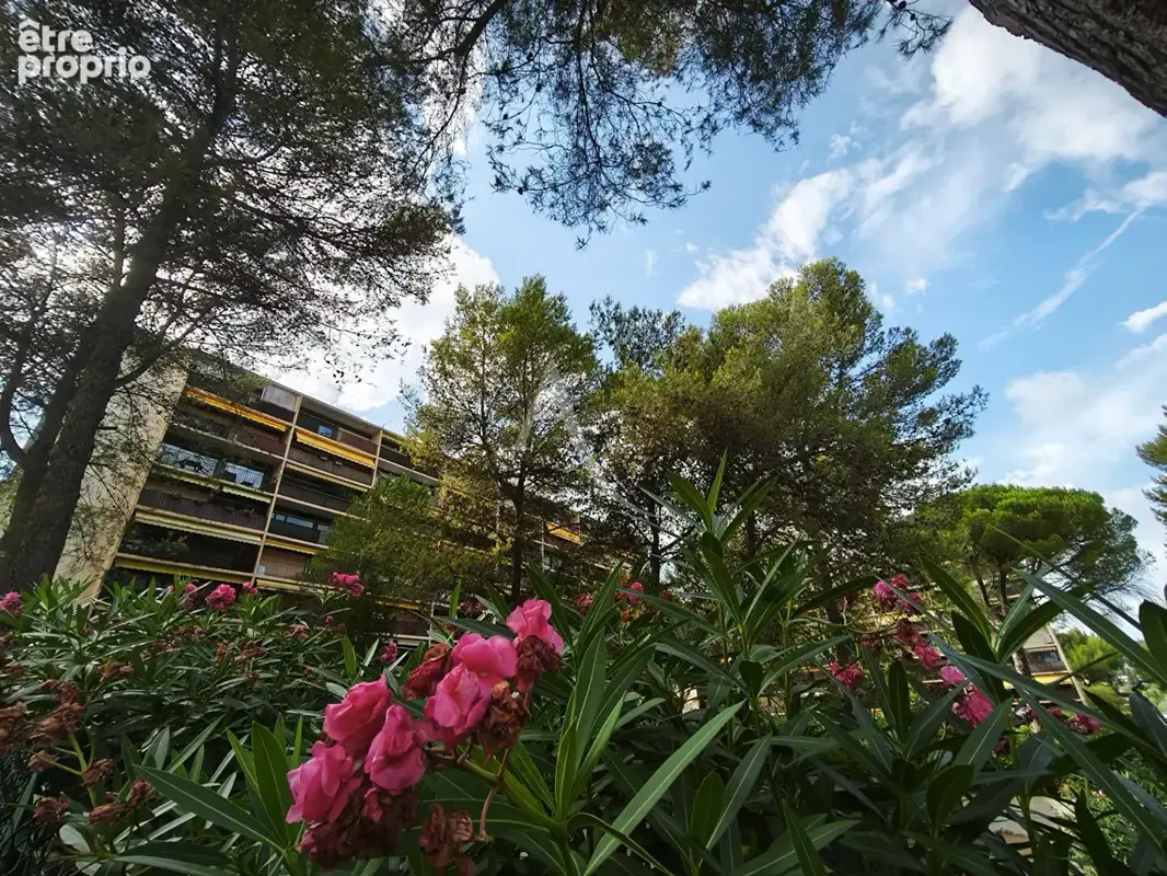 LE CANNET  "BLANCHISSERIE", au calme, 3 pièces avec terrasse, cave et parking - photo 8