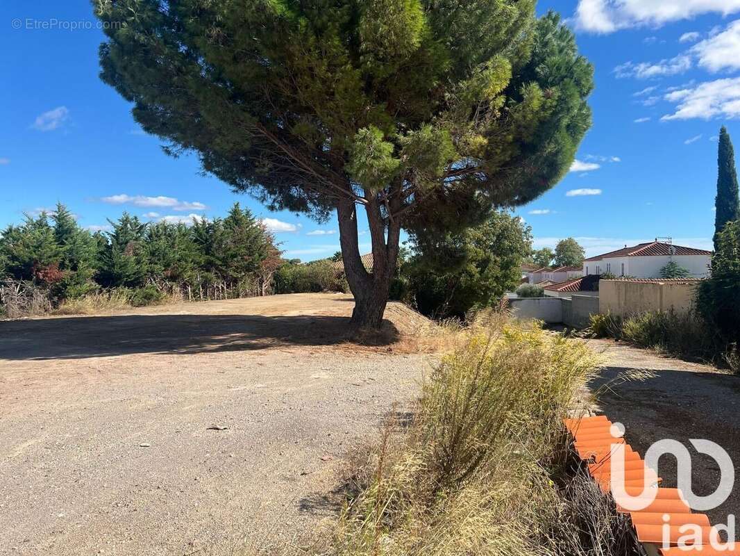 Photo 4 - Terrain à BEZIERS