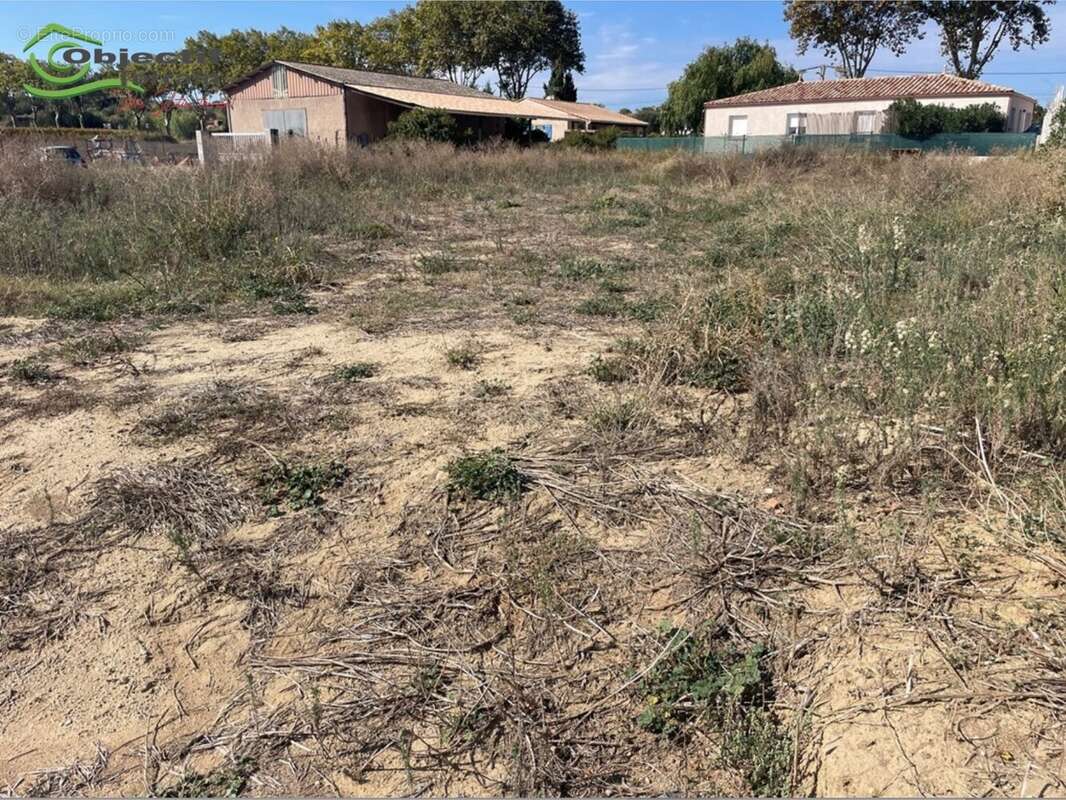 Terrain à POUZOLLES