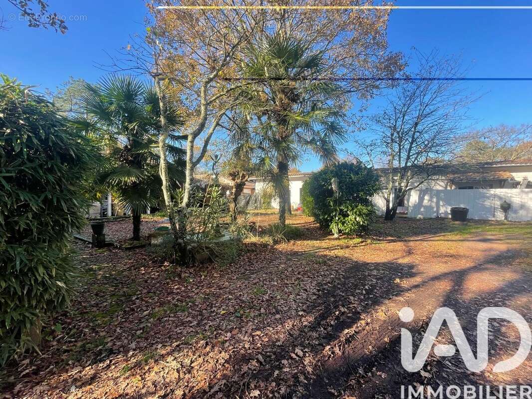 Photo 2 - Maison à GUJAN-MESTRAS